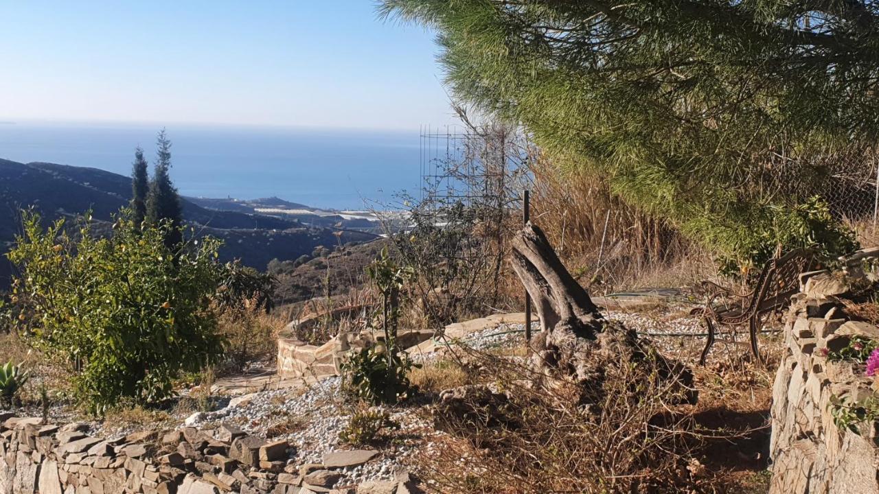 Finca Esperanza Costa Del Sol Sayalonga المظهر الخارجي الصورة