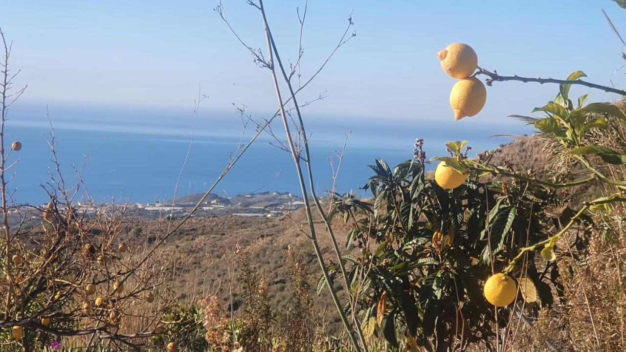 Finca Esperanza Costa Del Sol Sayalonga المظهر الخارجي الصورة